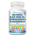 Sea Moss för hundar 750mg Black Seed Oil 500mg Ashwagandha 250mg gurkmeja 250mg Bladderwrack 250mg Dandelion 250mg & Vitamin C Vitamin D3 med Elderberry Manuka Yellow Dock 90 tabletter