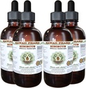 Hibiscus Alkoholfri flytande extrakt, organisk Hibiscus (Hibiscus Sabdariffa) Torkad blomma Glycerit Hawaii Pharm Natural Herbal Supplement 4x4 oz