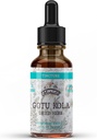 Gotu Kola Tincture, Organic Gotu Kola Extract, Gotu Kola Drops (Centella Asiatica) Torkade Herb