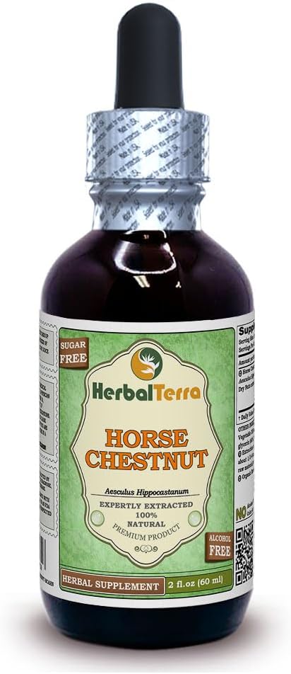 Horse Chestnut (Aesculus Hippocastanum) Glycerit, Organic Dried Nuts Alcohol-FREE Liquid Extract (Brand name: HerbalTerra, Proudly made in USA) 2 fl.oz (60 ml)