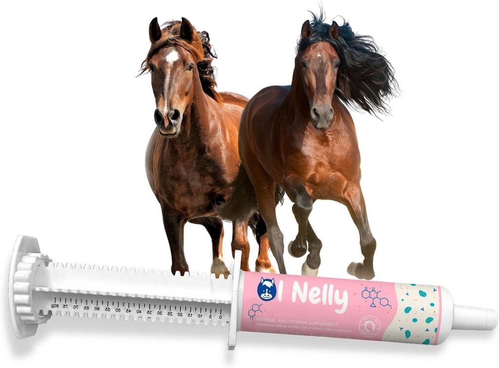 Horse Probiotics (80cc), Horse Paste Pre och Probiotics +Vitamins &Minerals- 4 Stammar och 8 miljarder CFU per servering- immun och gastro hälsostöd för hästar
