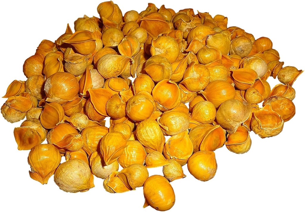 Japansk vitlök/AJO Japones (100% naturligt!!) Olika vikter: (1 Lb, 5 Lbs och 10 Lbs) (5 Lbs)