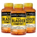 Mason Natural Daily Bladder Comfort, 30,Day Supply, med Calcium, Pumpkin Seed och Soy Germ för att stödja Normal Bladder funktion, 60 kapslar (Pack of 3)