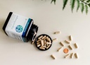 Ashwagaandha Supplement Organic KSM-66 Ashwagaandha Vegetarian Supplement 180 Capsules, 1000mg per daglig servering, hjälper till att stödja hälsosam stresshanteringsrespons, tydlig