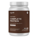 Organisera komplett protein choklad smak - organisk vegansk växtbaserad proteinpulver med matsmältningsenzymer - 30 dagars leverans - ingen soja, mejeri eller gluten