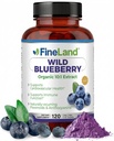 FineLand Wild Blueberry 10:1 Extract, 6000 mg Styrka, 120 Vegan Capsules, Rich i Flavonoids & Anthocyanins, Antioxidant Support för hjärna och hjärthälsa, 4-månaders leverans, icke-GMO Made i USA
