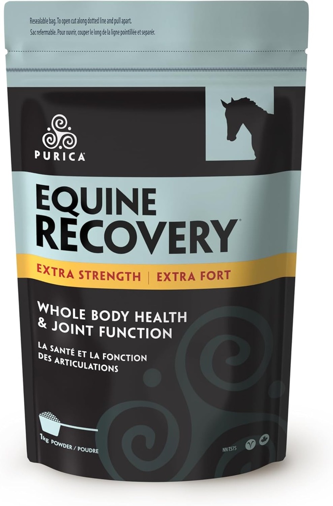 PURICA Equine Hyaluronic Acid - Horse Joint Support Supplement med Glukosamin, MSM Powder, Betaine, Magnesium, Vitamin C och E - Grönt te och Grape Seed Extract - Häst leveranser och behandlingar