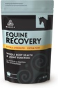 PURICA Equine Hyaluronic Acid - Horse Joint Support Supplement med Glukosamin, MSM Powder, Betaine, Magnesium, Vitamin C och E - Grönt te och Grape Seed Extract - Häst leveranser och behandlingar