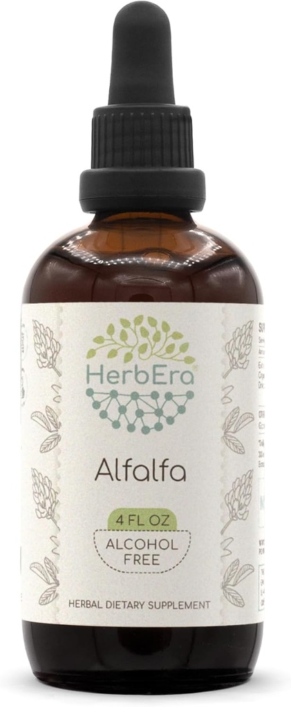HerbEra Alfalfa B120 Alkoholfri växtbaserade extrakt tinktur, koncentrerad flytande droppar naturlig Alfalfa 4 fl oz