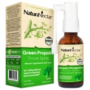 NaturaNectar - Green Propolis Throat Spray - Unique, Soothing Throat Care Relief med brasiliansk Bee Propolis - Naturlig och icke-alkoholisk Throat Care Formel från Sustainable Beekeeping (1-Pack, 30mL)