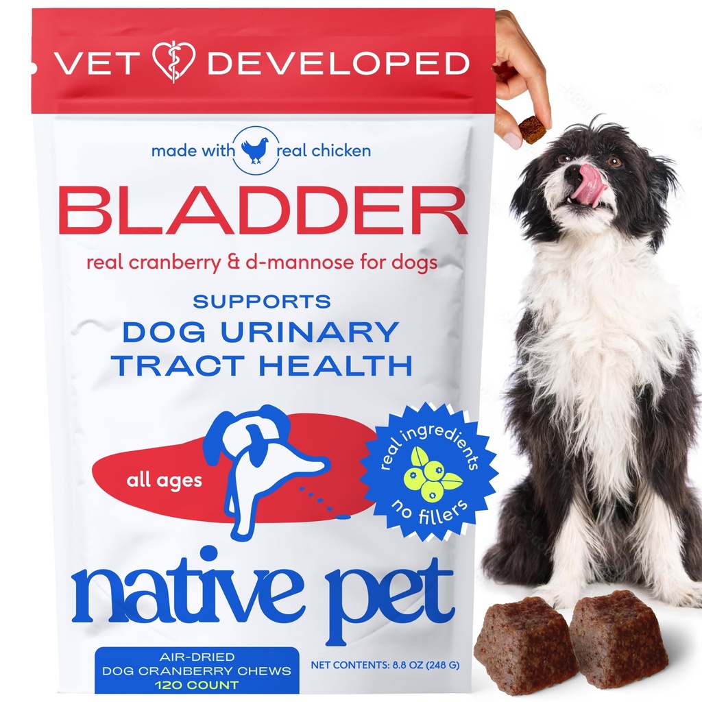 Native Pet Dog UTI Behandling - Cranberry Supplement för hundar Bladder Control & Kidney Support - Förhindra urinvägsinfektion och urininkontinens - Tillverkad med Real Cranberry Extract - 120 Chews