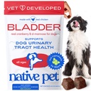 Native Pet Dog UTI Behandling - Cranberry Supplement för hundar Bladder Control & Kidney Support - Förhindra urinvägsinfektion och urininkontinens - Tillverkad med Real Cranberry Extract - 120 Chews