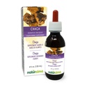 Naturalma Chaga (Inonotus obliquus) Fungus eller Mushroom Alkoholfri tinktur - 4 fl oz Liquid Extract i droppar - Herbal Supplement - Vegan