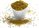 Vilmark BEE Pollen 100% ren naturlig icke bearbetad bi Pollen Granules 5 lbs, Yellow, Pack av 1