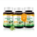 Lovita Green Coffee Bean Extract, 50% Chlorogenic Acid för Metabolism, Energy & Weight Management, 800 mg per dag, Vegan, Non-GMO, Gluten-Free, Natural Antioxidant Supplement, 180 kapslar