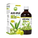 Grundläggande Ayurveda Aloe Amla Mix Juice | Blend of Aloe Vera & Amla Fruit | First Press Virgin Juice | Plant-Based Daily Drink | Vegan & Non-GMO | 32,46 Fl Oz (960ml)