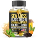 Sea Moss, Black Seed Oil, Ashwagandha, Ginger, Shilajit Gummies med Elderberry, Chlorophyll, Turmeric Bladderwrack Sea Moss Gummies Advanced Strength Formel - Allt i 1 Bundle - USA Made (60 Gummies)