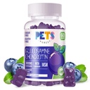 Husdjur Purest Glukosamin Chondroitin Gummies med MSM & Elderberry Extra Strength - Gemensamt stöd, Antioxidant Immune Support Supplement för vuxna, Män & Kvinnor.60 Blueberry Gummies