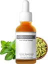 Zink Immune Support Supplement - Anti Viral Supplement med gurkmeja, grönt te och kanel - Herbal Supplement med ECGC, Quinine & Quercetin med Zink - Ionophoric Zn, 30ml