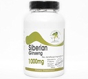 Siberian Ginseng 1000mg - 100 kapslar - Inga tillsatser - Naturtitionstillägg