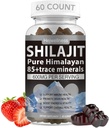 Shilajit Gummies - 600 mg naturlig organisk Shilajit harts med 85+ spårmineraler, fulvic syra och fytonäringsämnen - jordgubbsmak - för energi, immunstöd - 60 gummies, 1 månads leverans