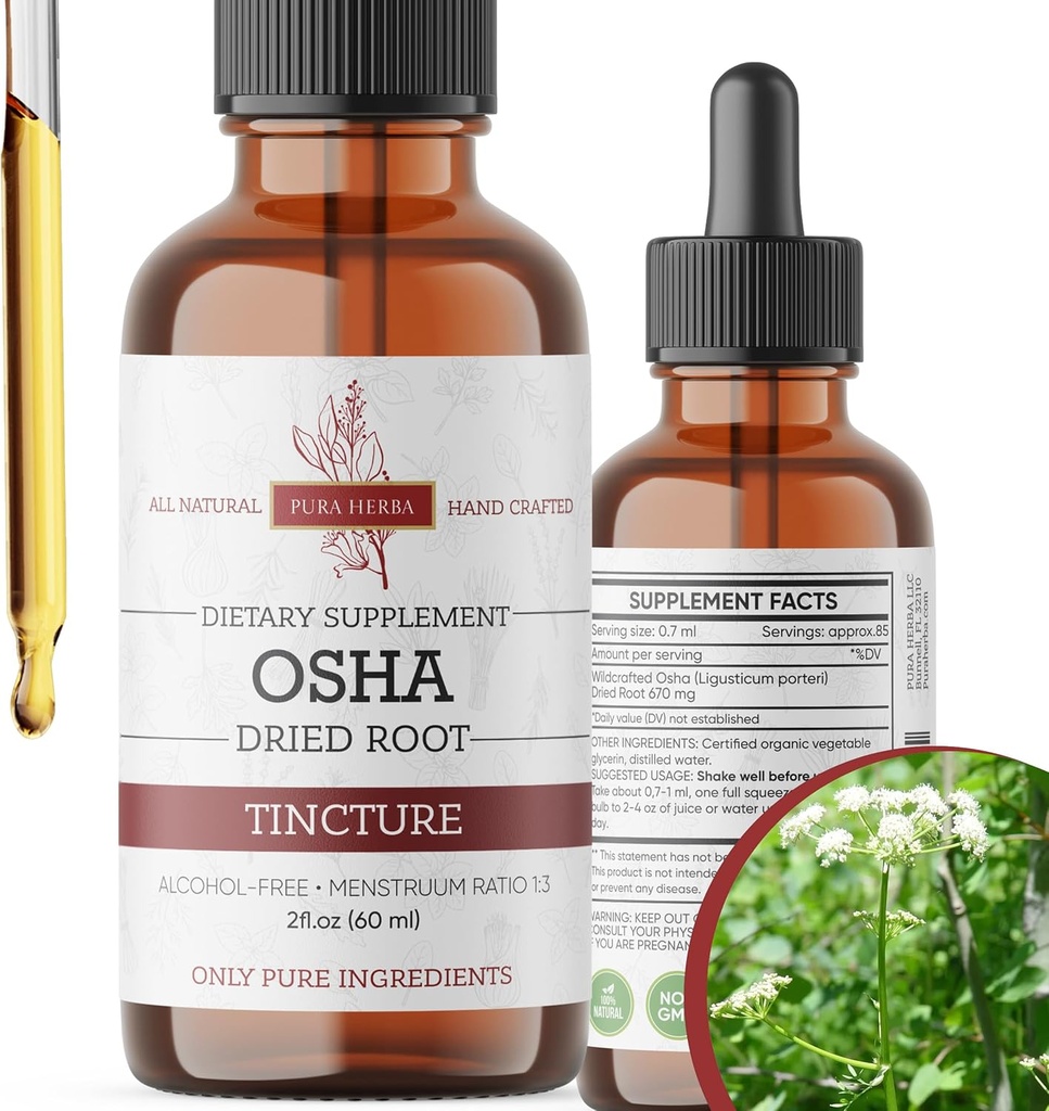 Organisk OSHA Root Tincture - Natural Respiratory Support - Alkoholfri flytande extrakt - Vegan, icke-GMO, tillverkad i USA - 2 Fl Oz
