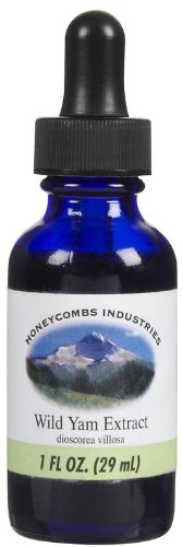Wild Yam Root Extract Liquid – Natural Female Balance Supplement – Cold Pressed Menopausal Support eller PMS Support Supplement för kvinnor, 1 Fl Oz