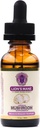 Lions Mane Mushroom Supplement - Organic Mushrooms - Dual-Extraction Oil Tincture w / Ginkgo Biloba - Stöd för hjärna, minne, fokus, Gut Health - 30ml, 1 Fl Oz (Pack av 1)