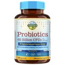 Terranics Probiotics 60 Billion CFU, 20 Strains, 60 Veg Capsules, Prebiotics & Probiotics, Shelf Stable Probiotic Supplement for Men & Women, Non-GMO, NO Soy, Dairy & Gluten
