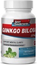 Hjärntillskott för minne och fokus - Ginkgo BILOBA 120MG - Gingko biloba Plant, Fokustillskott för vuxna, Gingko biloba Supplements, Ginko biloba Pills Natural, Memory Supplement - 1B 60 Caps