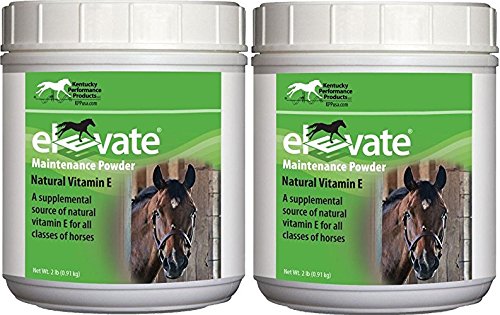 Kentucky Performance Products 2 Pack of Elevate Maintenance Power, 2 pund Varje naturligt vitamin E Hästtillskott