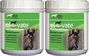 Kentucky Performance Products 2 Pack of Elevate Maintenance Power, 2 pund Varje naturligt vitamin E Hästtillskott