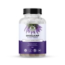 Fantastiska botaniska Skullcap 10X extrakt tabletter 2,000 mg - Hög potens Herbal Supplement för avkoppling och Wellness - 30 tabletter