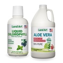 Land Art Aloe Vera Juice - Pomegranate Flavored - Cold Processed - Inre filé från organiska färska blad - 64floz + Liquid Chlorophyll Mint smaksatt - Kall extraherad från Wild Non-GMO Alfalfa - 16floz