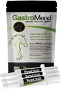 SynChill 3 Pack + GastroMend Bundle för hästar - Omfattande maghälsa och beteendestöd, hjälpmedel i gastric Ulcer Relief, främjar lugn och fokus, all naturlig, kostnadseffektiv