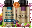 Kognitiv Wellness Bundle - Resveratrol Complex & Shilajit Fulvic Acid Minerals - Sea Moss, Ashwagandha, kliniskt testad kognigrape Red Grape Extract - Non-GMO, Gluten-fri, Vegan Supplement
