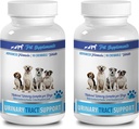 hundblåsan inkontinens tuggabler - DOG URINARY TRACT SUPPORT - NATURAL CRANBERRY SOLUTION - BLADDER HEALTH - VET RECOMMENDED - hund tranbär extrakt - 2 flaska (180 behandlingar)