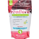 Probiotika för Dogs-Complete Gut Health & Immune Support. Lätt att använda Digestive Multi-Strain Probiotics. Lättare kostövergångar, friskare hud & rock & hjälper till att behandla diarré. 60 Mjuka Chews