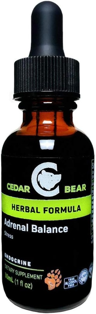 Cedar Bear Adrenal Balance - Liquid Herbal Supplement med adaptogener som bekämpar trötthet, hantera stress och öka energi 1 fl oz / 30 ml