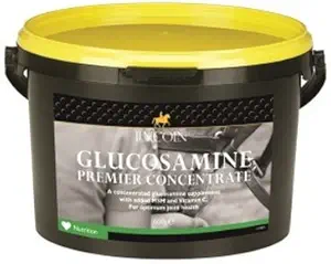 Lincoln Glukosamin Premium Concentrate Horse Supplement - 600g (optimal hälsa i leder och brosk)