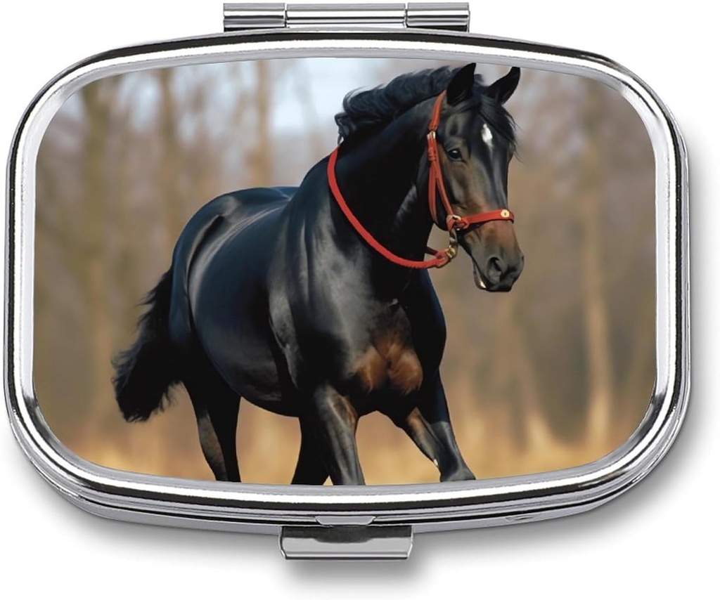 Pill Box Portable Pill Case for Pocket Horse on Lawn Travel Small Pill Organizer 2 Compartment Metal Pill Container Holder för medicin Vitamins Fish Oil Supplements