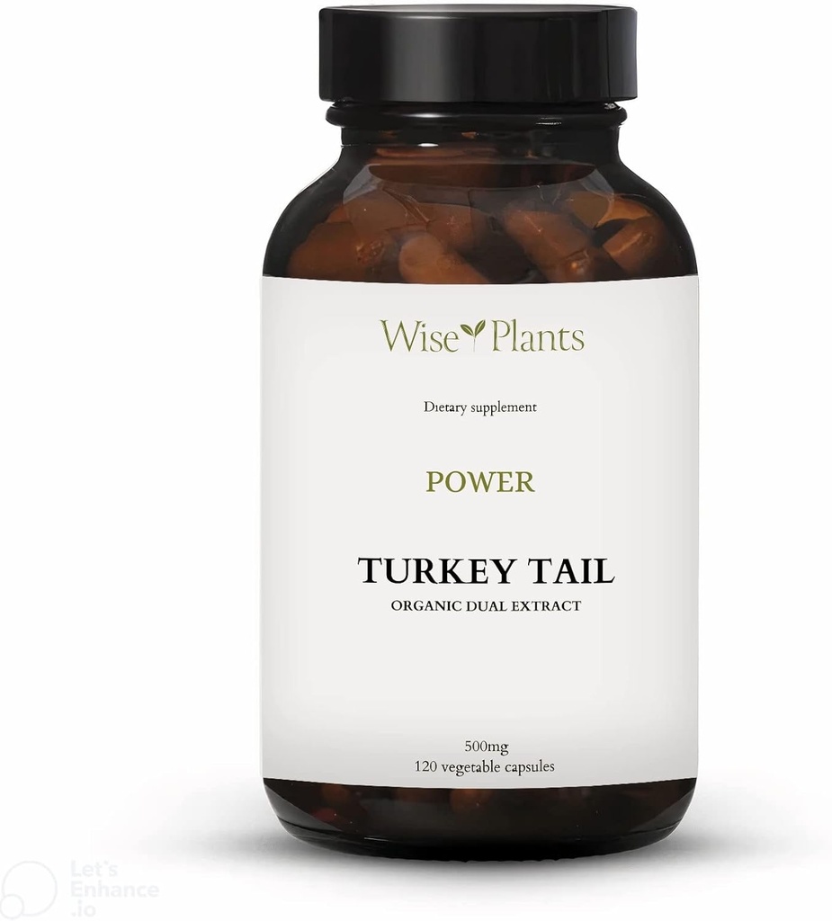 Turkiet Tail Mushroom Supplement. Dual Extract, Pure Fruiting Body, 30% Polysackarider, 500 mg, 120 vegecaps (60-dagars leverans). Kan stödja hälsosam immunfunktion