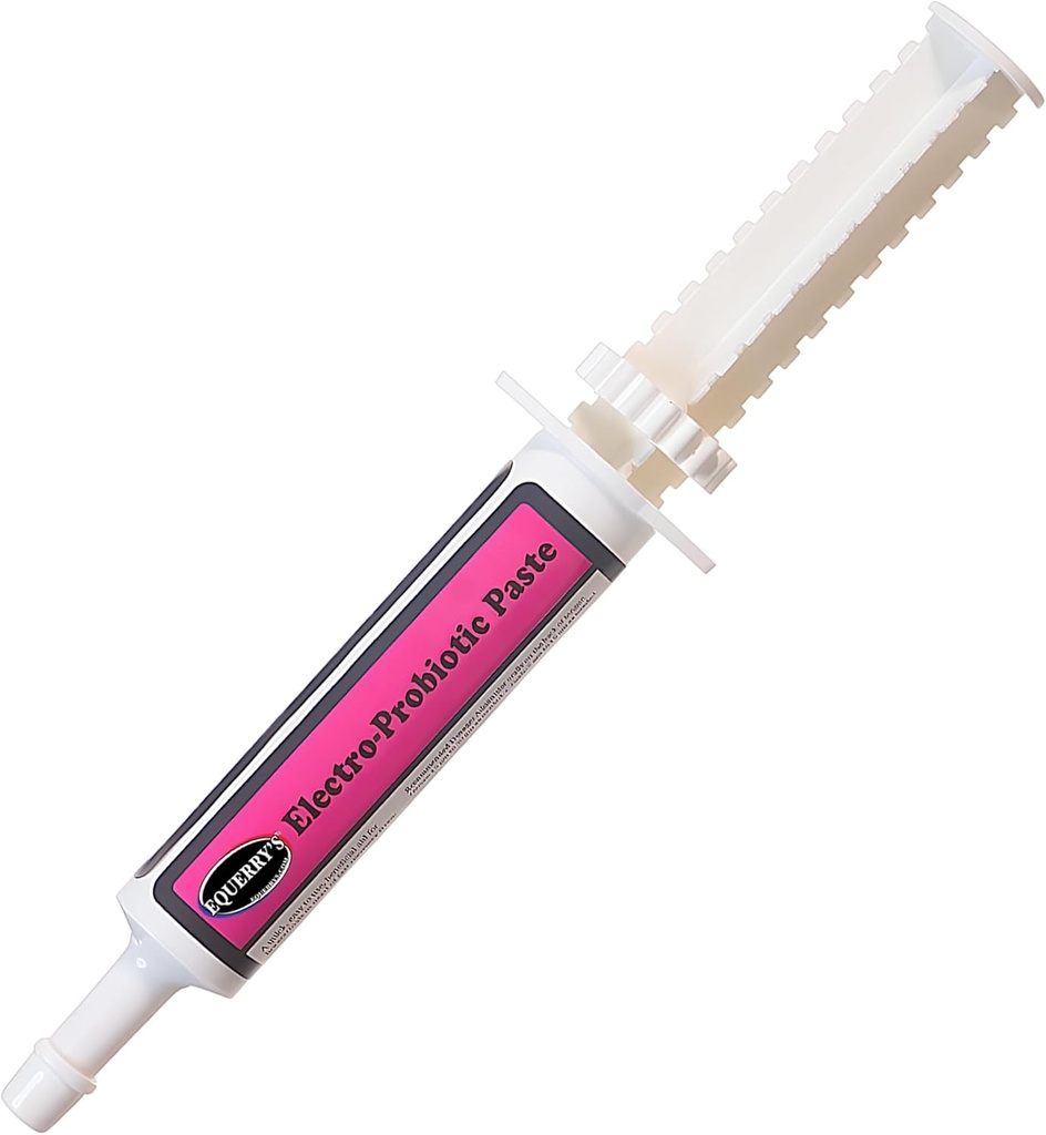 Equerry's Electro-Probiotic Paste för hästar - 30g | Equine Probiotics & Electrolytes för stressade hästar | Easy Oral Syringe | Made in USA