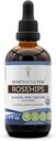 Hemligheter i stammen Rosehips USDA Organic | Alkoholfri extrakt, hög-potens Herbal Drops | Tillverkad av 100% certifierade organiska Rosehips (Rosa spp.) Torkade frukt 4 oz