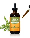 Herb Pharm Chanca Piedra Liquid Extract för Urinary System Support - 4 Ounce