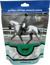 Funky Unicorn Gastic Chews - MINT smak