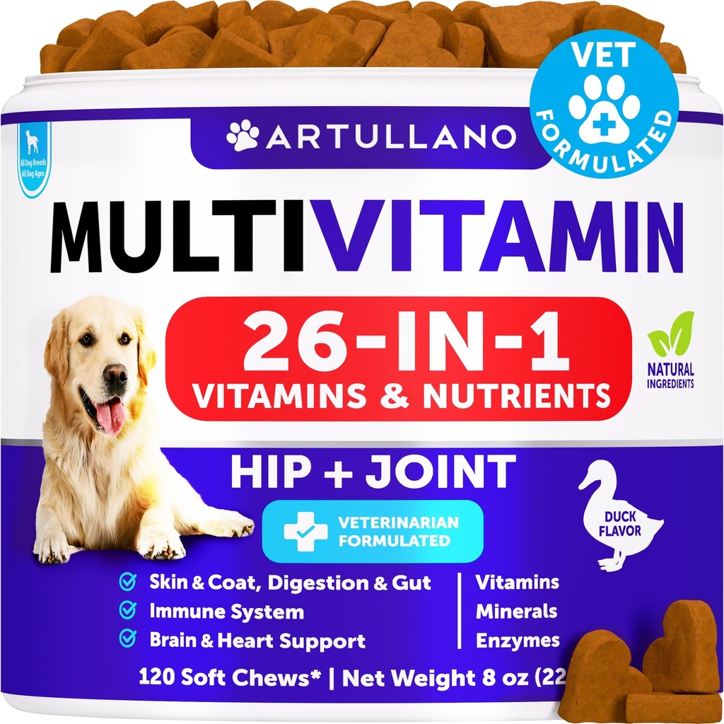 Hund Multivitamin Chewable med Glukosamin 26 i 1 - Hund Vitaminer och tillägg - Senior & Puppy Multivitamin för hundar - Pet Joint Support Health - Immunity, Mobility, Gut Skin - 120 Chews