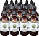 Cinnamon alkoholfri flytande extrakt, kanel (Cinnamomum Verum) Torkade Bark Glycerite Hawaii Pharm Natural Herbal Supplement 15x4 oz