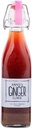 Annies Ginger Elixir, 17oz 1-Pack, ren naturlig organisk Tonic Ginger Shot, Digestive Cleanse Boosts Immune Defense, Daily Gut Health and Wellness, Non-GMO Beverage