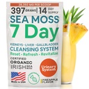 Atlantic Naturals Sea Moss 7 Day Detox Liver, Gallbladder & Kidney Cleanse - Stöd med Dandelion Root, Milk Thistle, Burdock Root, Red Clover, Chanca Piedra - Pineapple Flavor Drink Mix (14 oz)